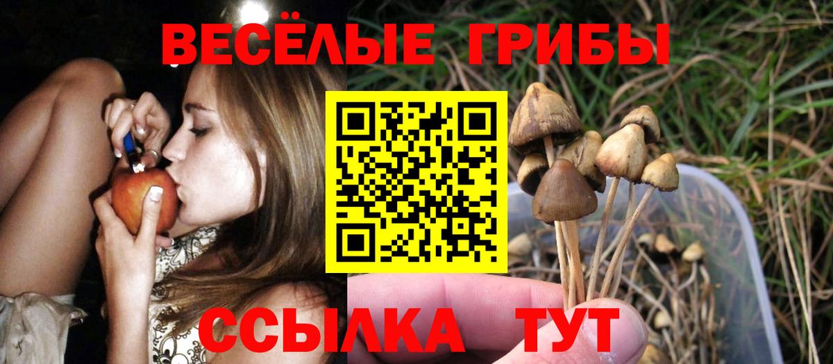 сколько стоит  Галлюциногенные грибы ЛСД  Псилоцибиновые грибы Magic Shrooms  Вход с VPN  Десногорск 